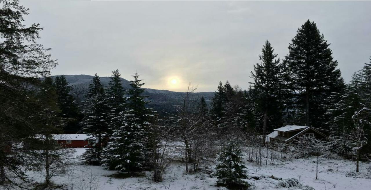 Packwood Ski & Vacation Getaway Extérieur photo