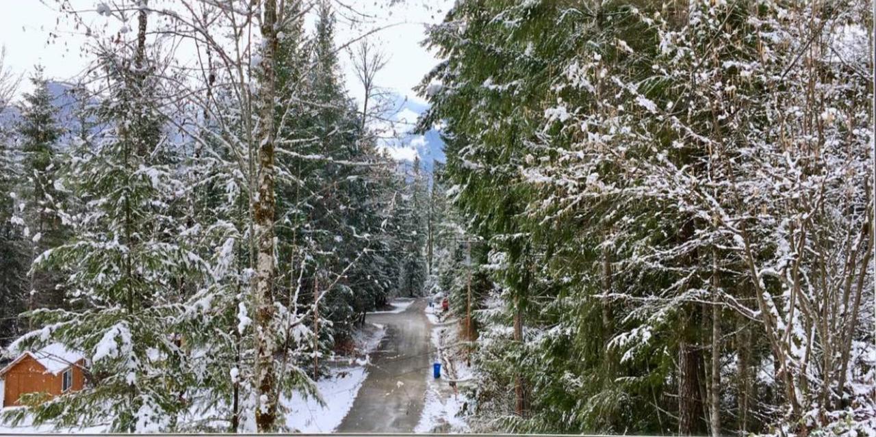 Packwood Ski & Vacation Getaway Extérieur photo